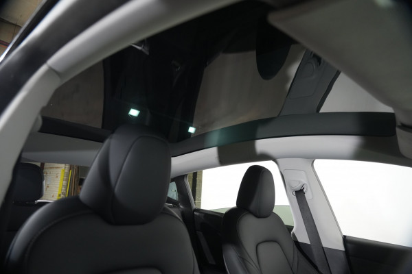 2023 Tesla Model Y  Rear-Wheel Drive SUV Image 13