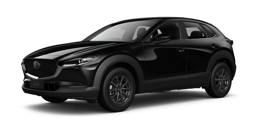 Jet Black Mica