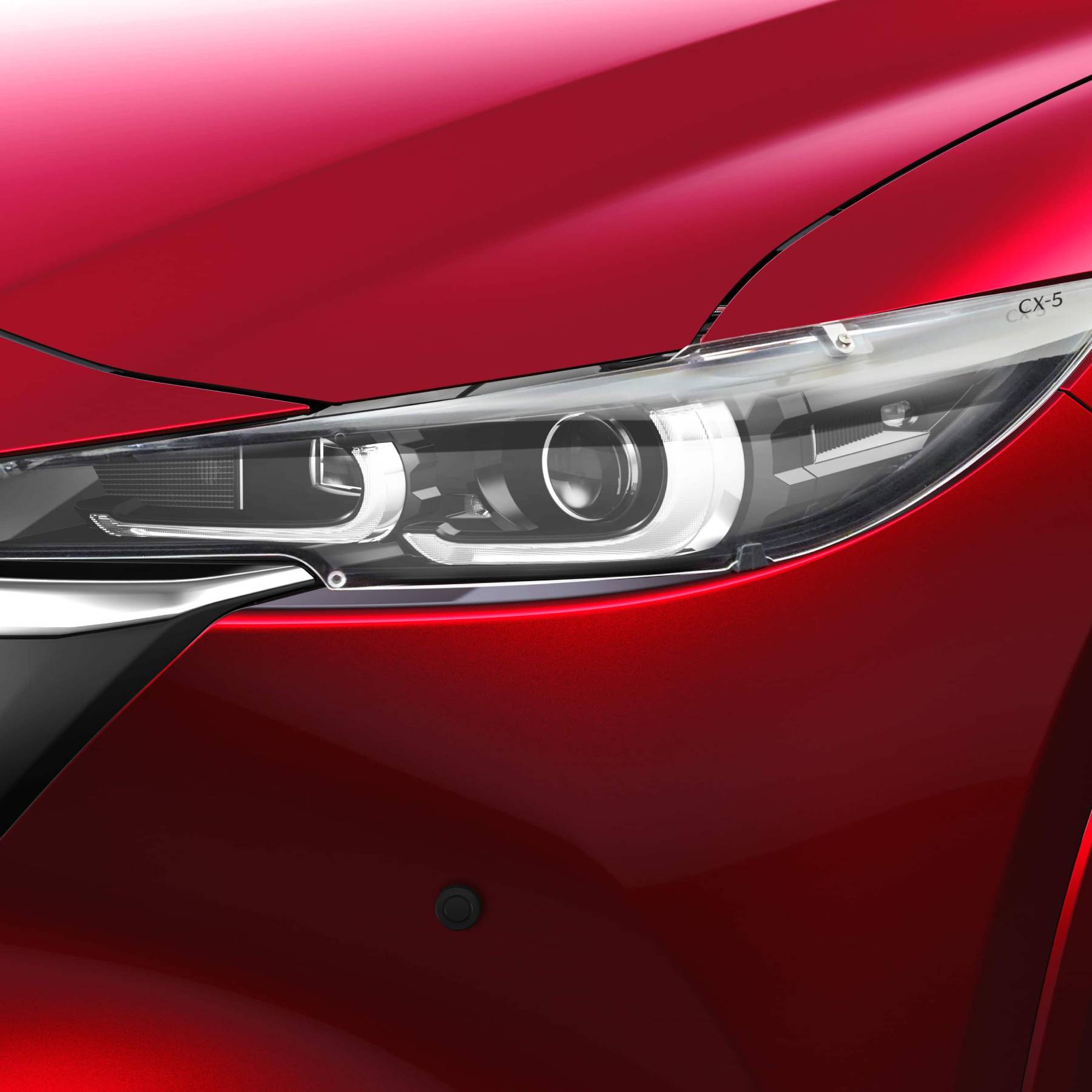 Headlight Protectors