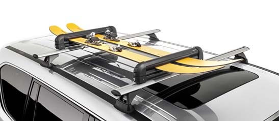 <img src="Ski/Snowboard Carrier