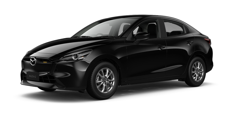 Jet Black Mica