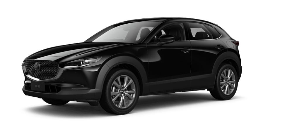 Jet Black Mica