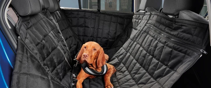 Rear Seat Protection