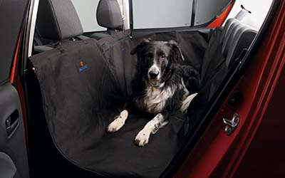 <img src="Rear Seat Protective Cover