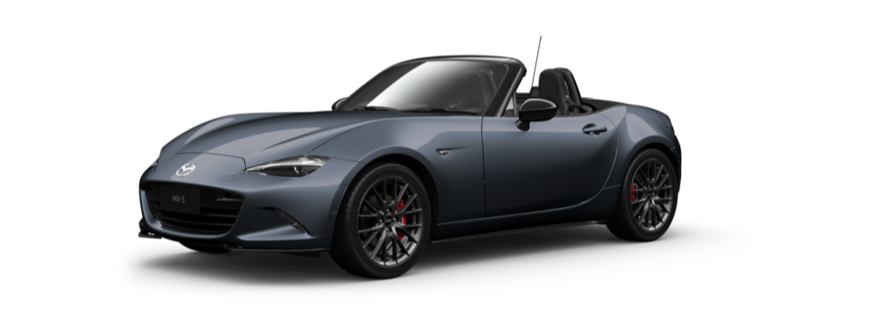 Polymetal Grey Metallic