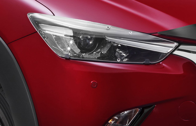 Headlight Protectors