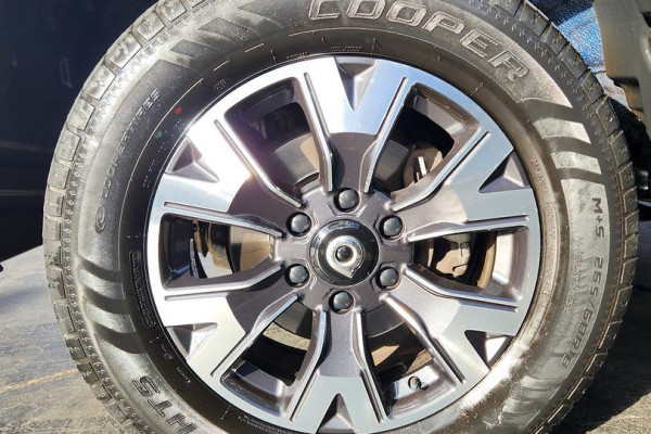 2021 GWM Ute NPW Cannon-X Ute Image 20