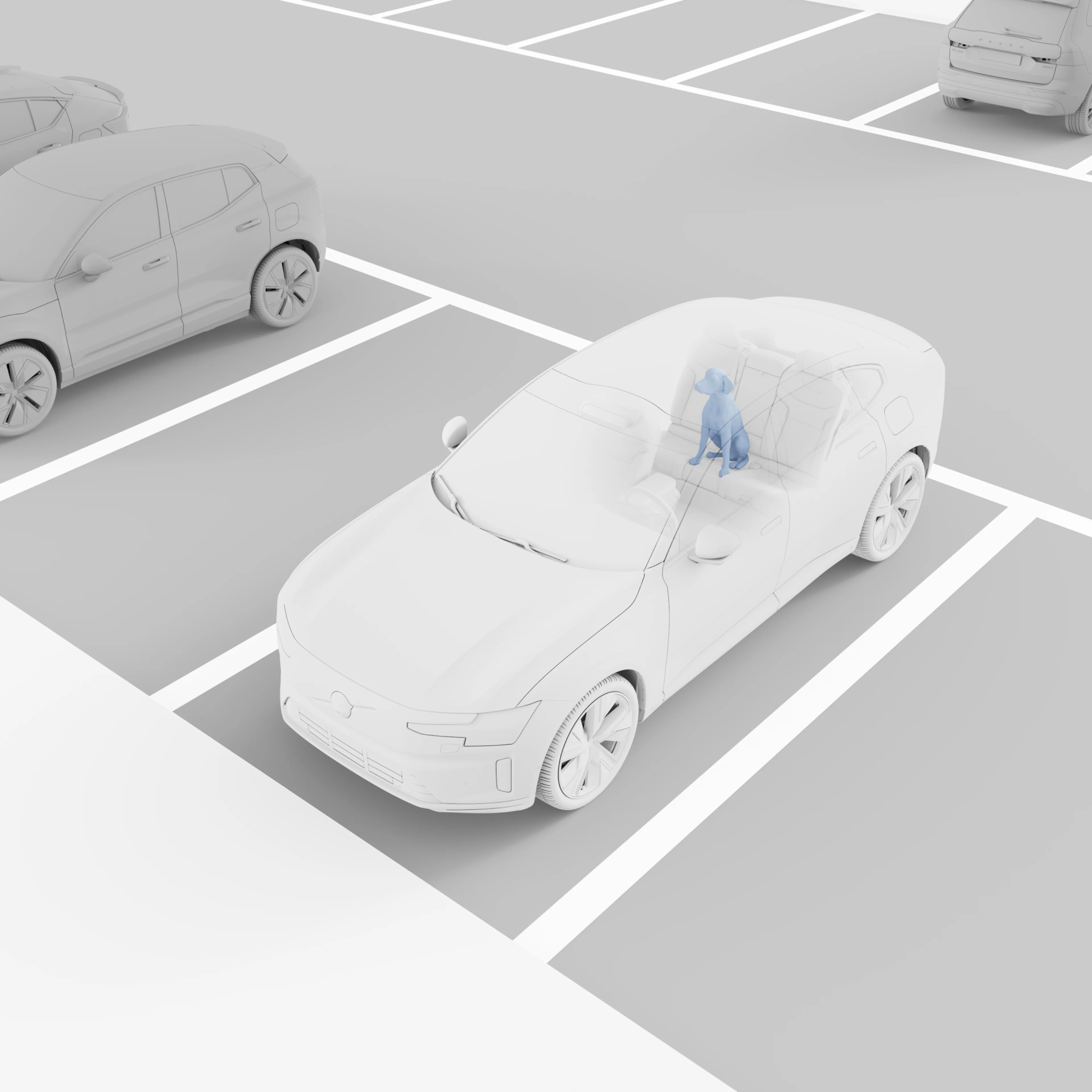 Occupant Sensing Image