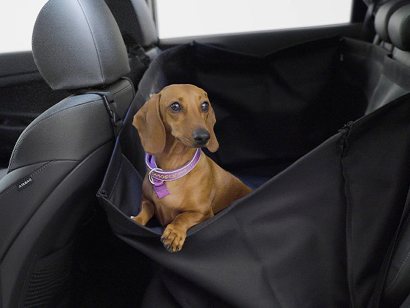 Rear seat pet cover