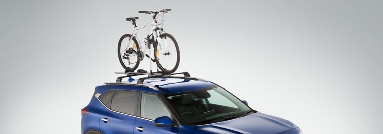 Roof Bicycle Carrier (Frame Mount)