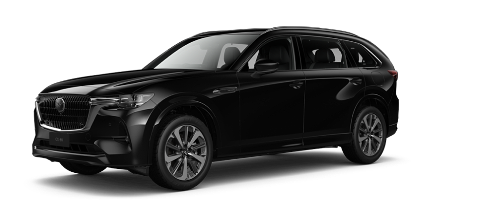 Jet Black Mica