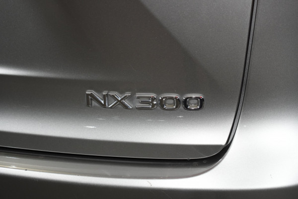2020 Lexus Nx300 Luxury (Awd) SUV Image 9