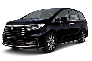 Premium Twinkle Black