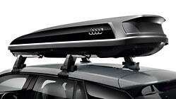 Carrier unit roof racks