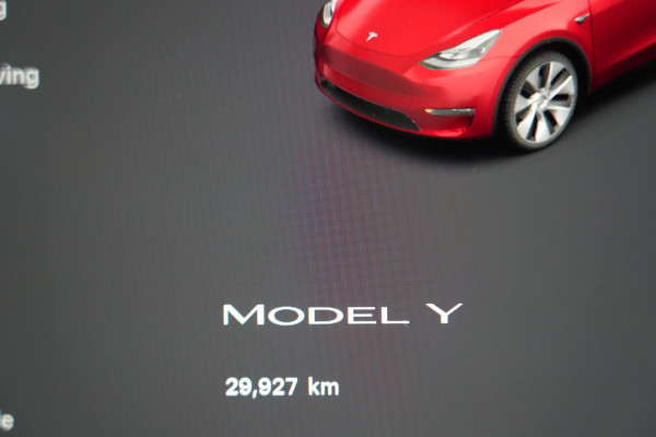 2023 Tesla Model Y  Rear-Wheel Drive SUV Image 10