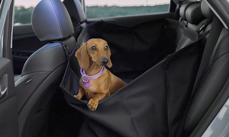 Rear seat pet cover 