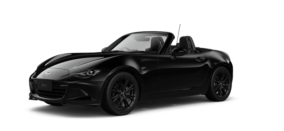 Jet Black Mica