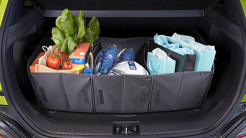 <img src="Cargo organiser.