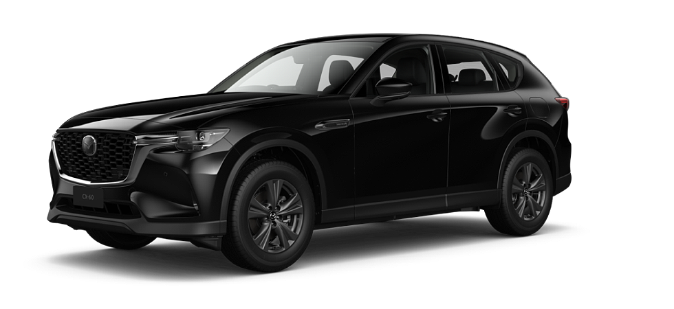 Jet Black Mica