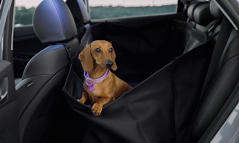 Rear seat pet cover