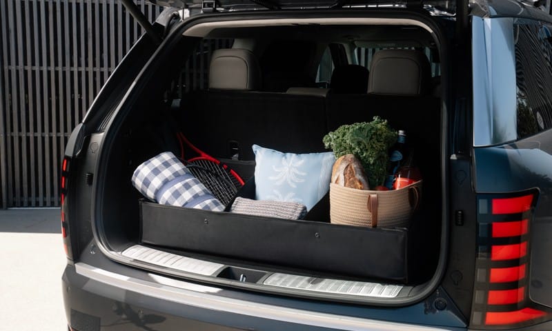 Luxury cargo organiser