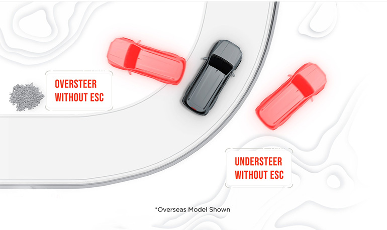 Electronic Stability Control (ESC) Image