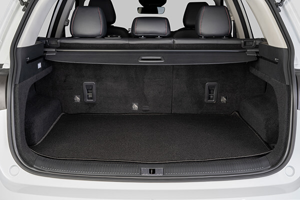 Boot mat