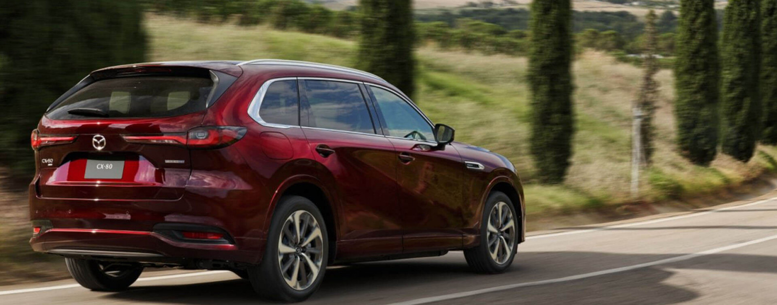 CX-80