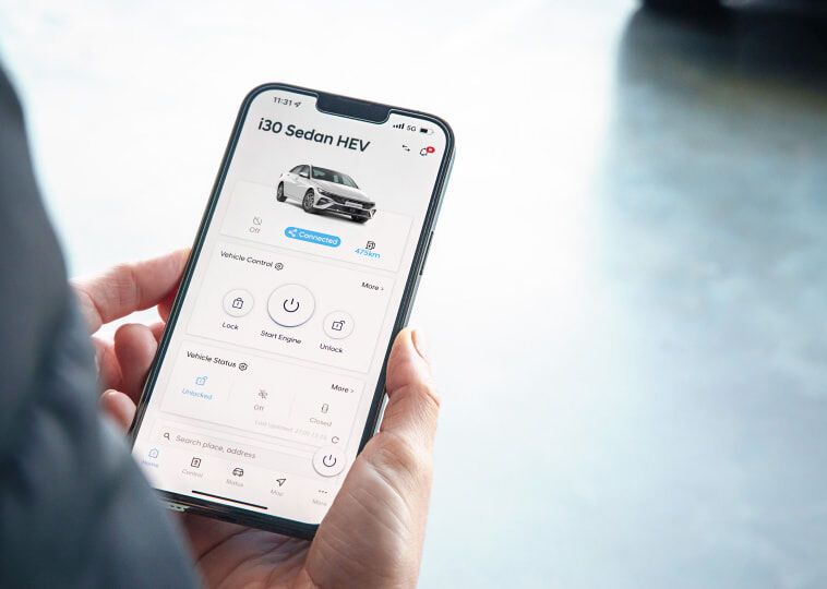 BluelinkTM[P2] connectivity Image