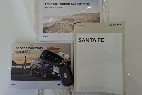 2022 Hyundai Santa Fe TM.V4  SUV Image 29