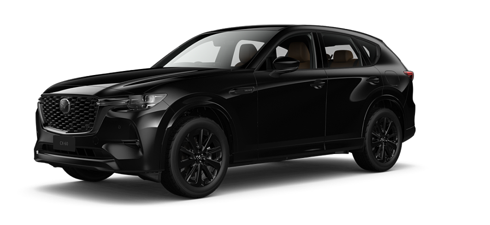 Jet Black Mica