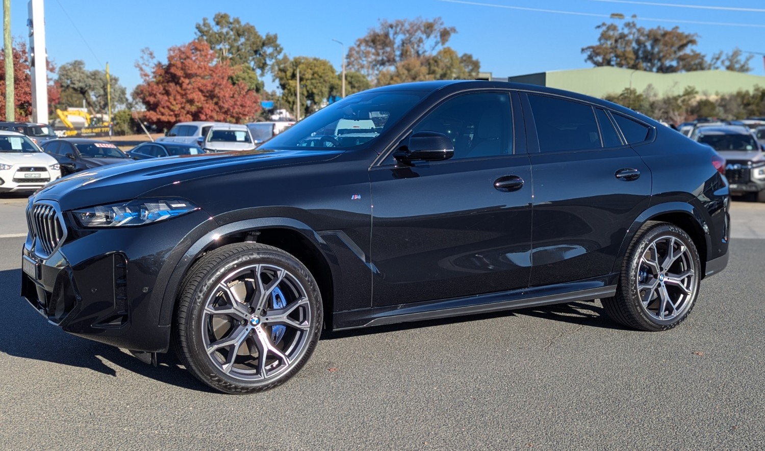 2024 BMW X6 xDrive30d M Sport