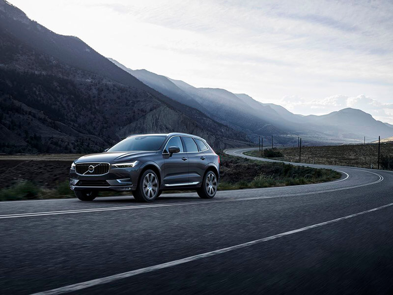 The Scandinavian athlete Image