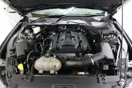 2015 Ford Mustang FM FM Convertible