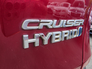 2019 Toyota RAV4 AXAH52R Cruiser SUV
