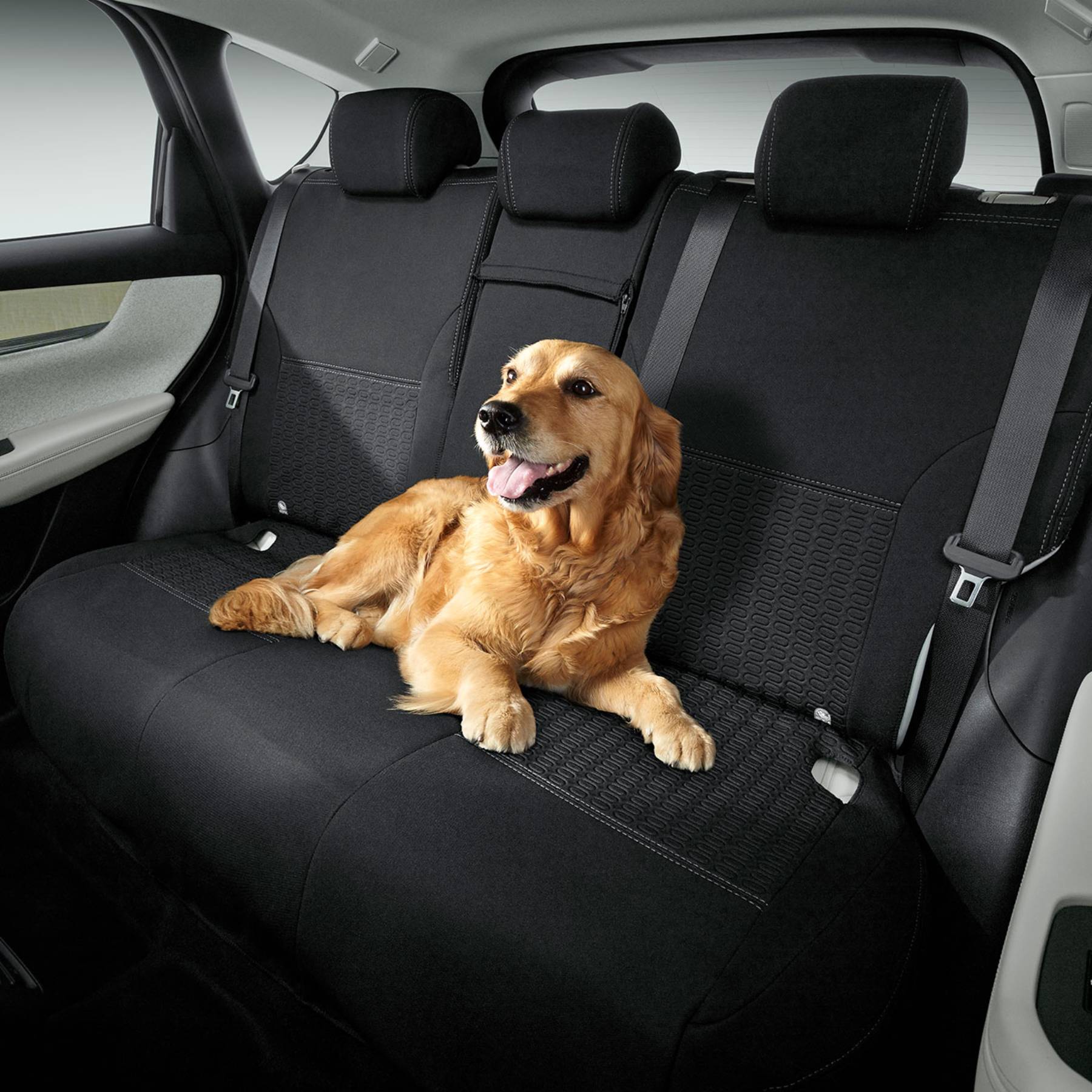 Rear Seat Cover