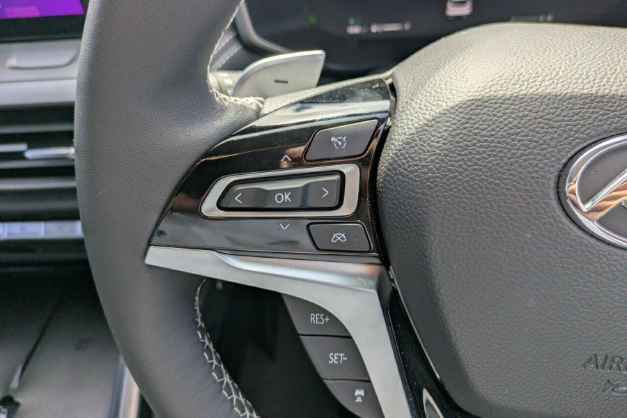 2024 MY25 LDV D90 SV9A Executive SUV Image 24