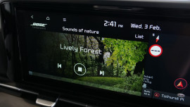 2021 Kia Carnival YP Platinum Wagon