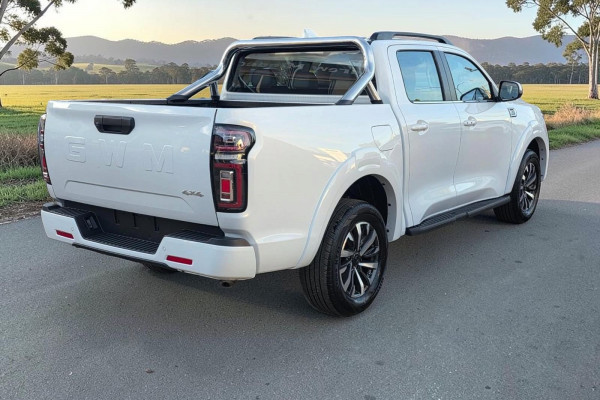 2026 GWM Cannon NPW Premium Ute Image 7