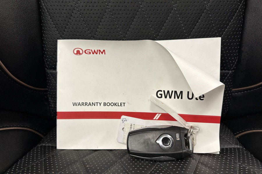2022 GWM Ute NPW Cannon-X Ute Image 12