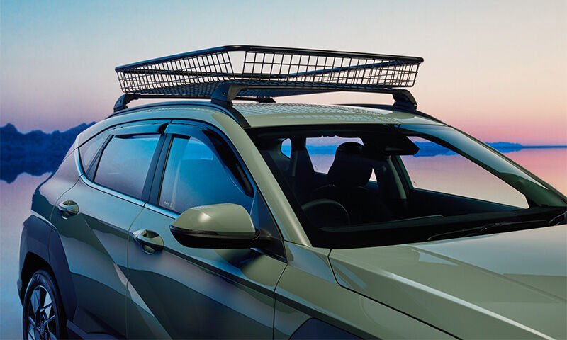 Roof basket
