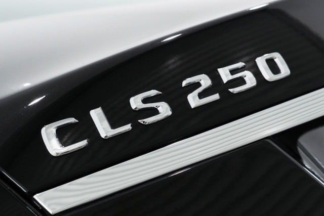 2013 Mercedes-Benz Cls-class CLS250 CDI 20 of 26