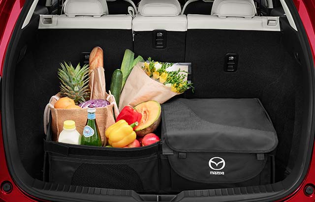 <img src="Cargo organiser box