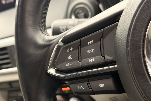 2022 Mazda CX-9 TC Azami LE SUV Image 26