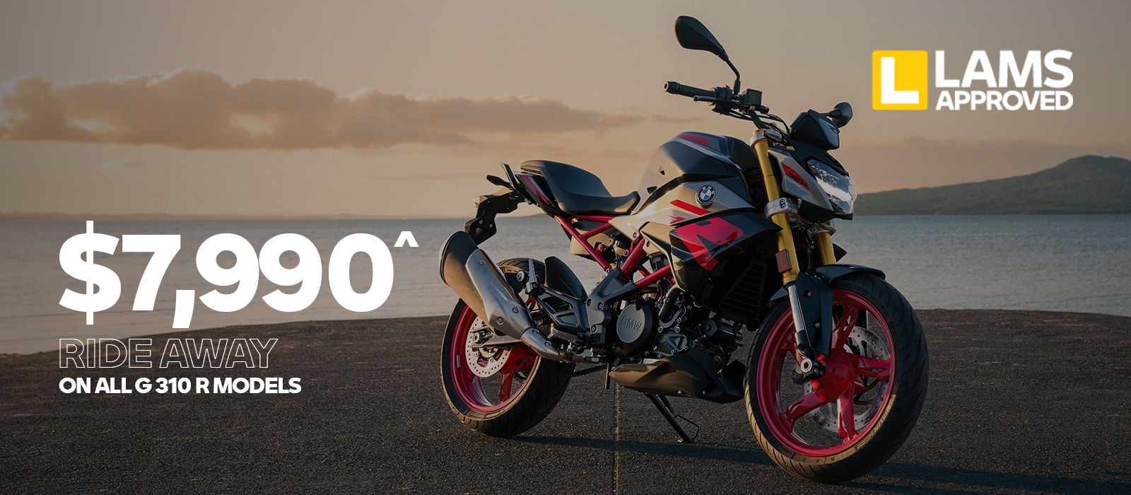BMW G 310 R