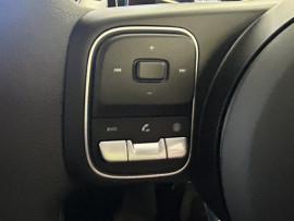 2025 GWM Cannon NPW Lux Ute image 24