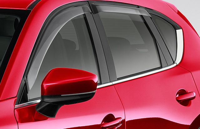 Slimline weathershields