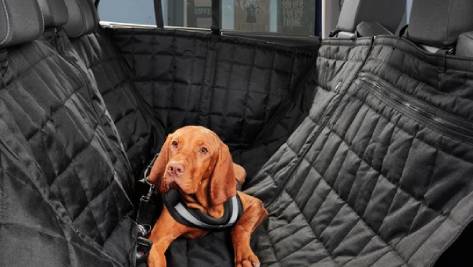 Rear Seat Protection