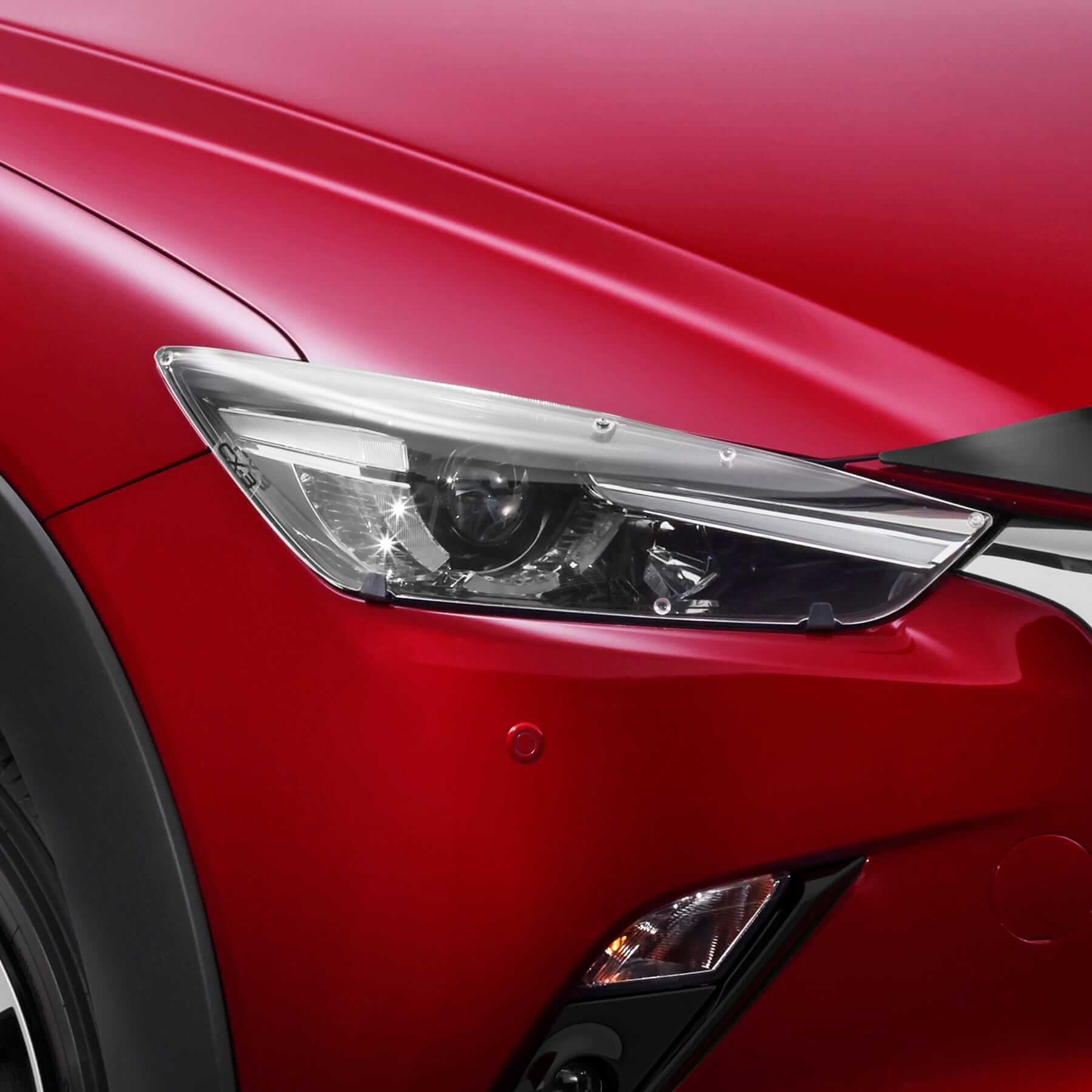 Headlight Protectors