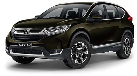 Midnight Forest Metallic